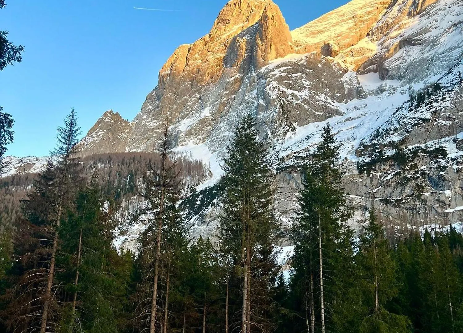 Casa Di Charme Sul Civetta Dolomiti Lägenhet Caprile