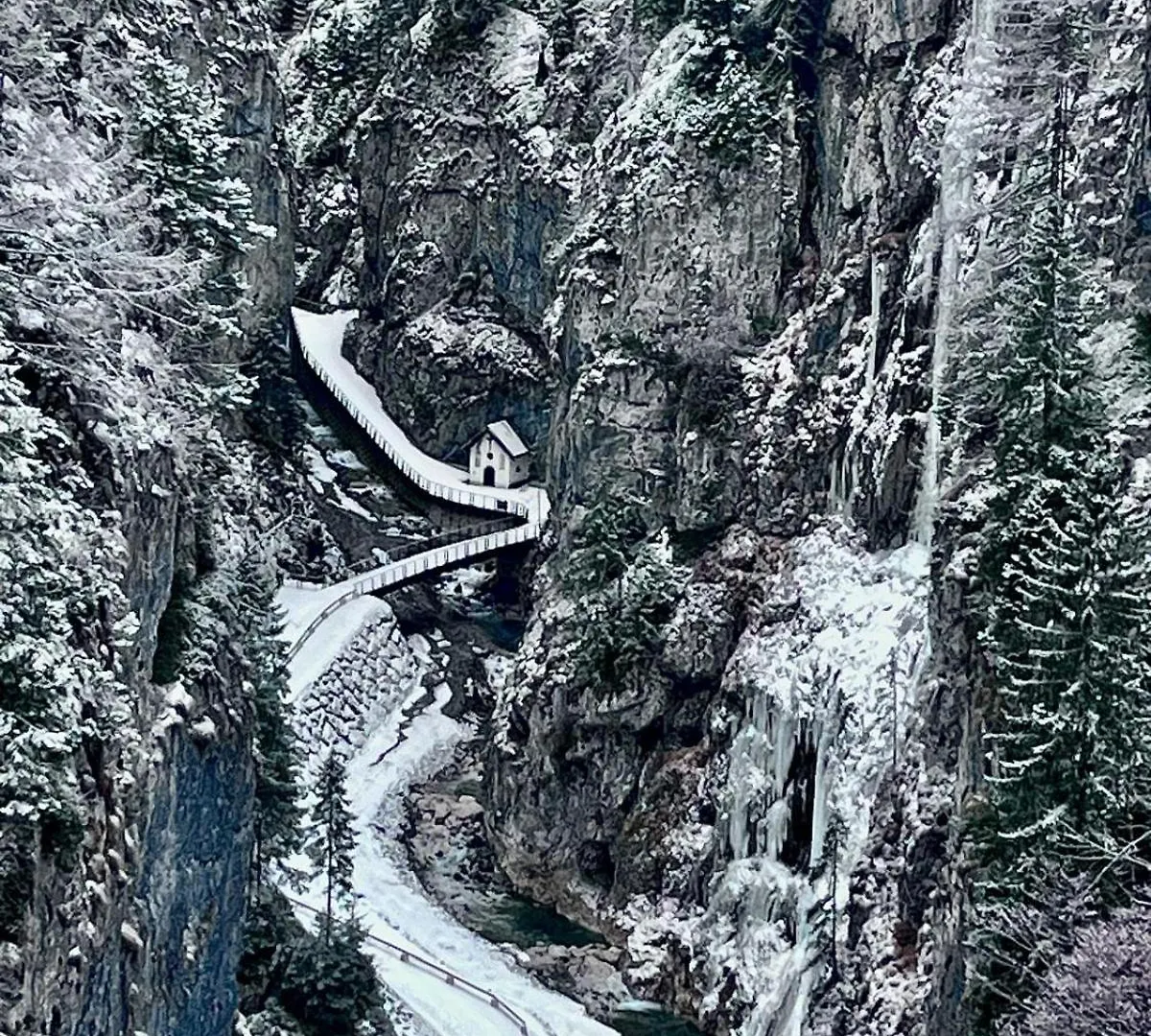 公寓 卡普里莱Casa Di Charme Sul Civetta Dolomiti公寓